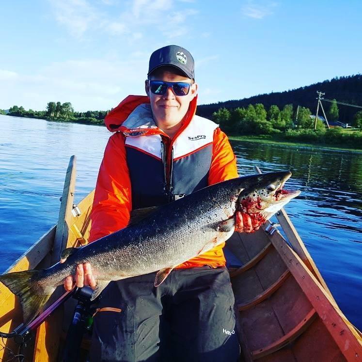 Arctic Camping Finland Pello Exterior foto